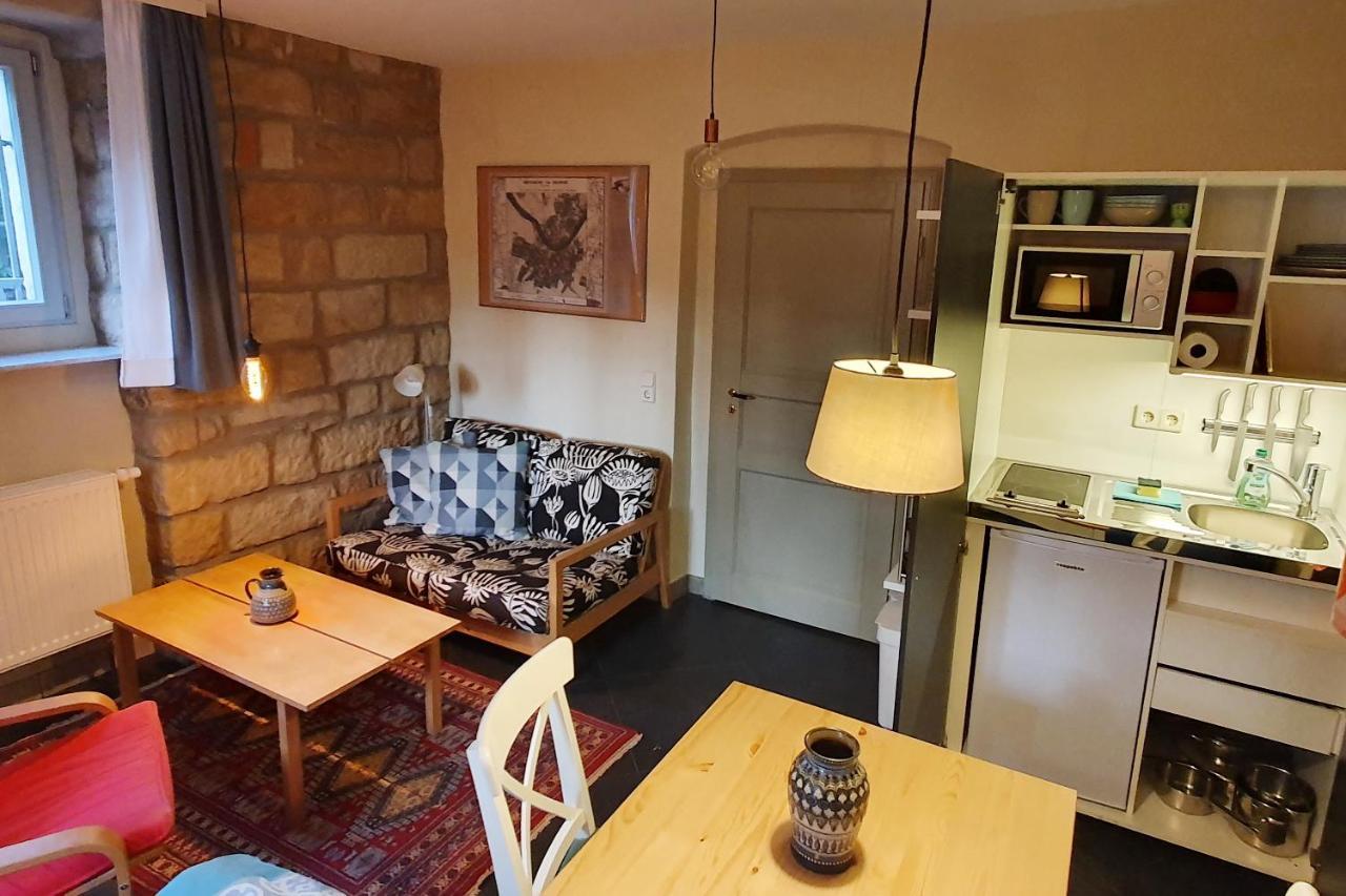 Villa Haniel Apartment Leo دريسدن المظهر الخارجي الصورة