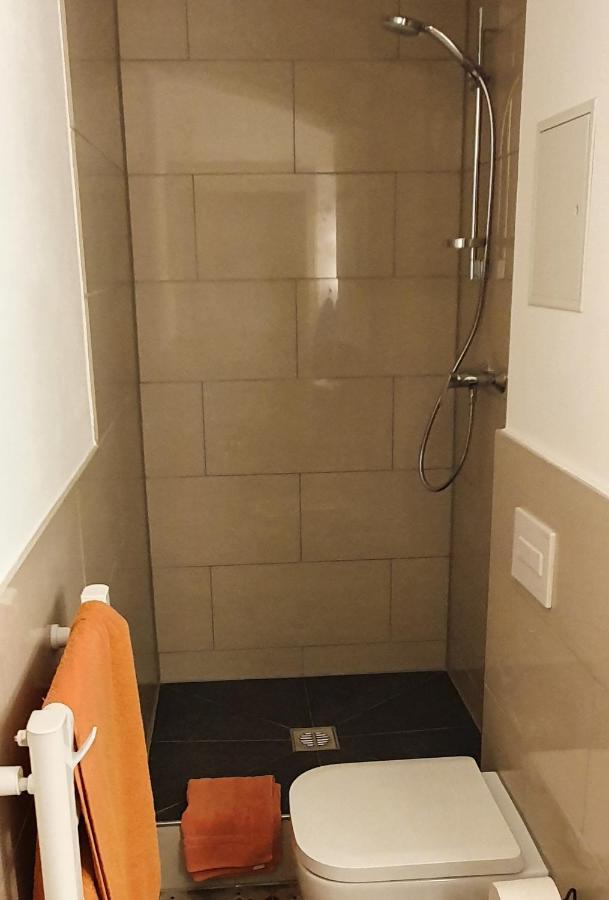 Villa Haniel Apartment Leo دريسدن المظهر الخارجي الصورة
